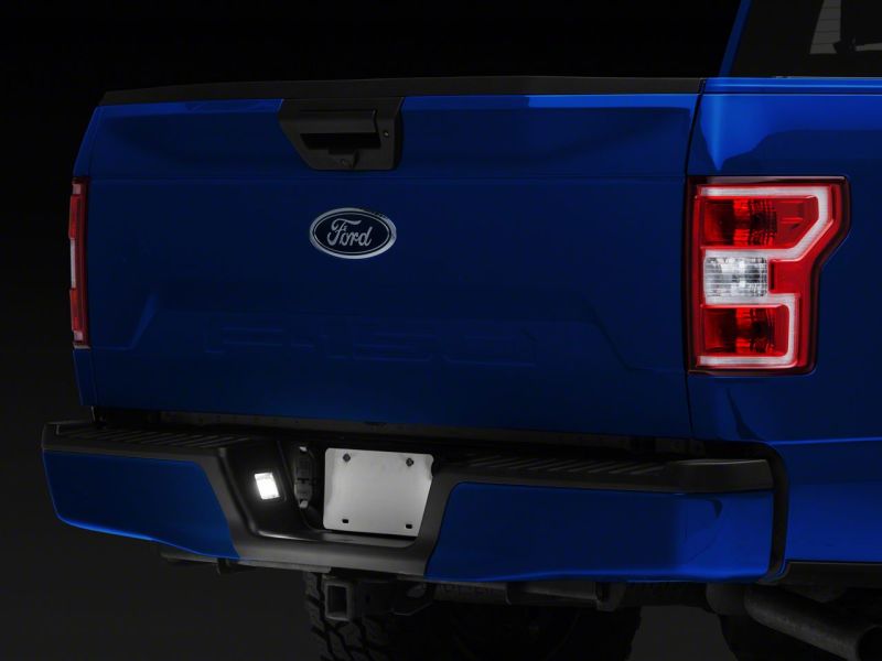 15-25 Ford F-150 Raxiom T542565 Axial Series LED License Plate Lamps