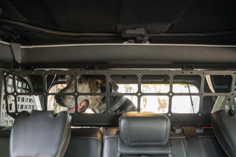 21-24 Ford Bronco DV8 Offroad MPBR-10 Dog Barrier