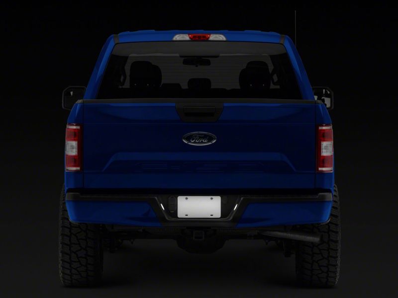 15-25 Ford F-150 Raxiom T542565 Axial Series LED License Plate Lamps