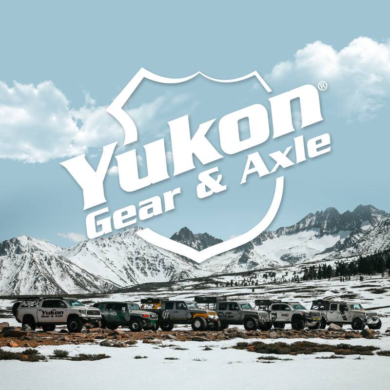 00-10 Ford F-150 Yukon Gear & Axle YT SB-NP504493 Pinion Setup Bearing