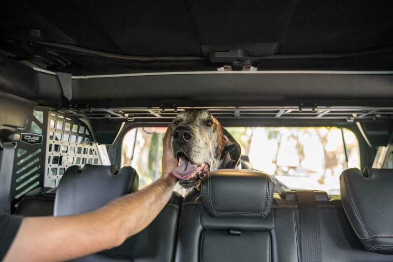 21-24 Ford Bronco DV8 Offroad MPBR-10 Dog Barrier
