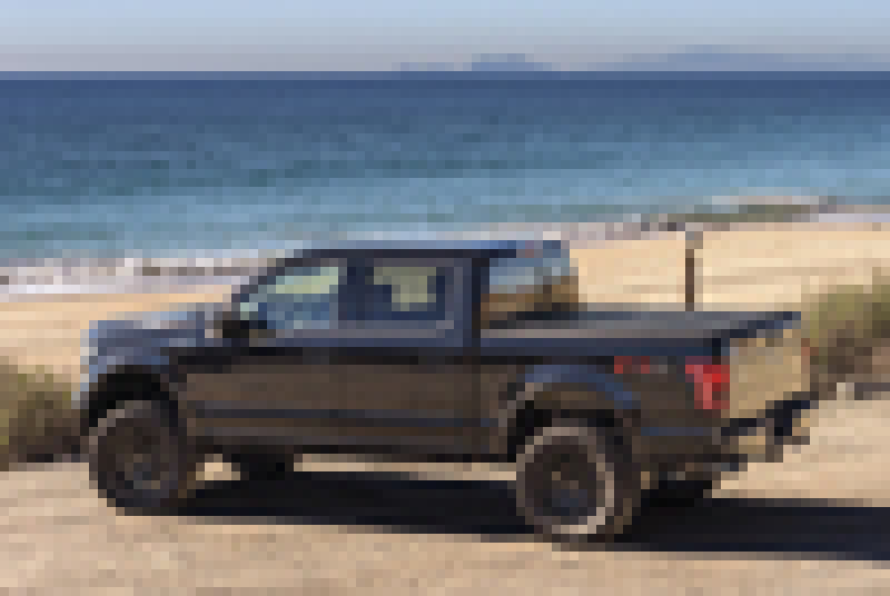 04-14 Ford F-150 BackRack 448309 5ft 6in Bed Flip MX4 - Matte Finish